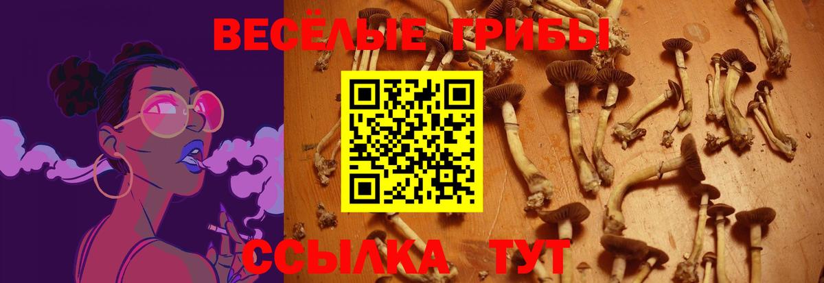 Кропоткин  Псилоцибиновые грибы мухоморы  Галлюциногенные грибы Magic Shrooms  Вход с VPN 